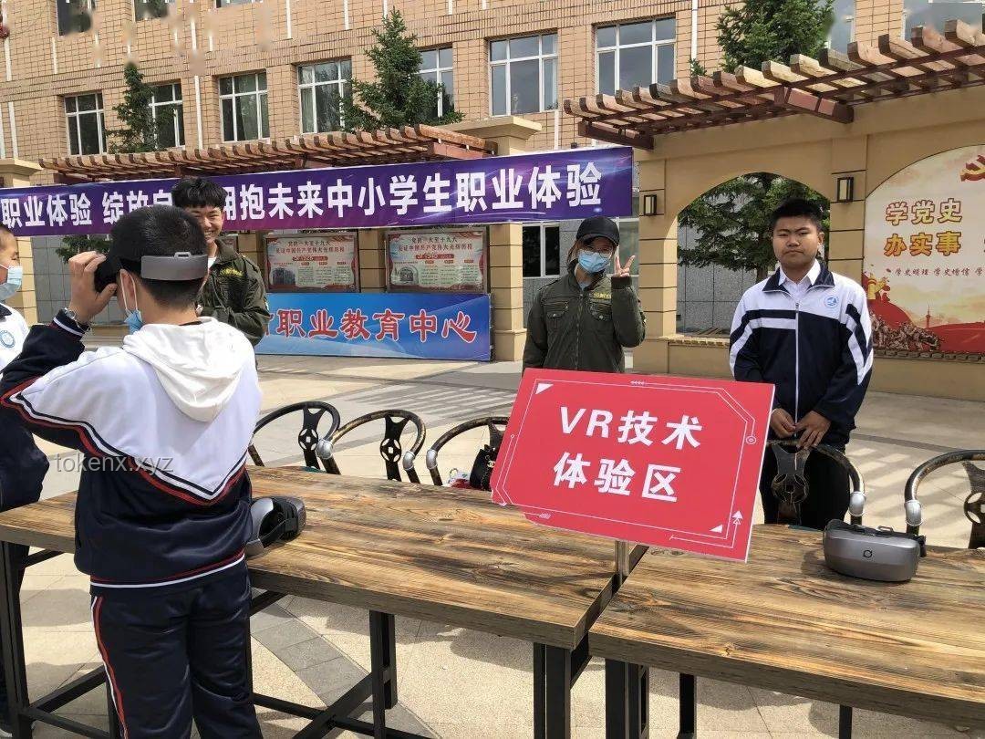 芦苇泥瓦建筑材料的创新与乡村教育设施改善行业洞察